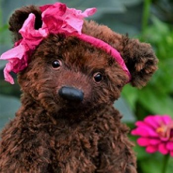 Восточной яркою арбой кочует разноцветье в осень