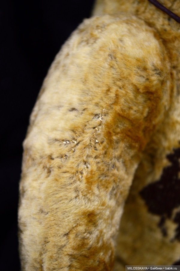 Мишка ЛЕВ (23 июля - 23 августа) (фото 4)