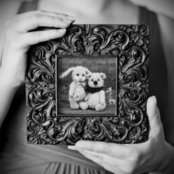 Миниатюрные мишки. Опрос