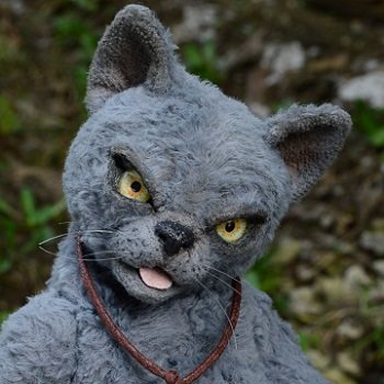 Суровый кот