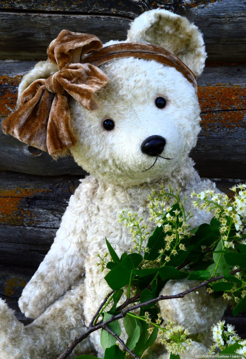 Катюша — Авторские мишки Тедди и друзья: фото