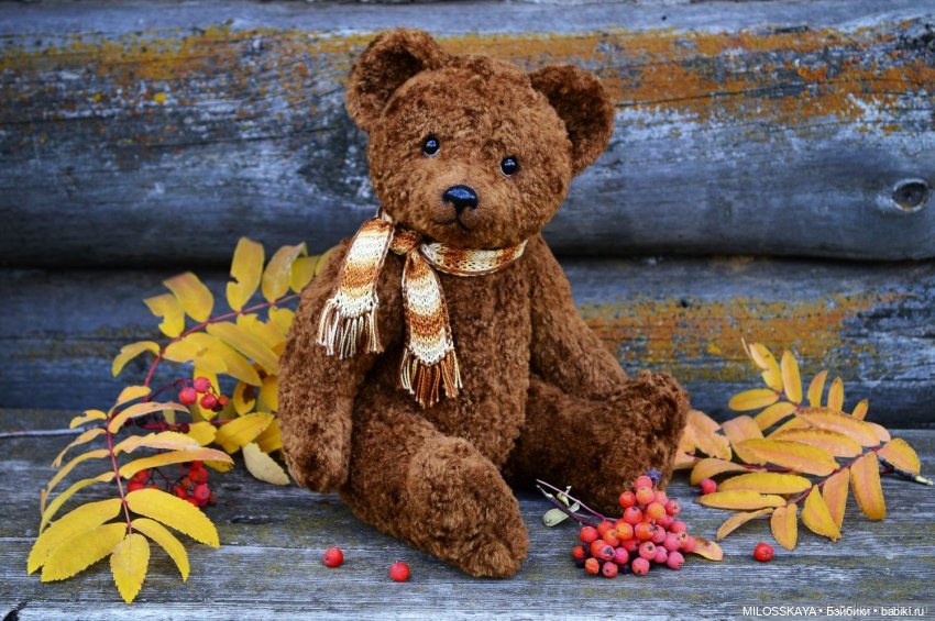 Праздник тот же. День второй (фото 6)