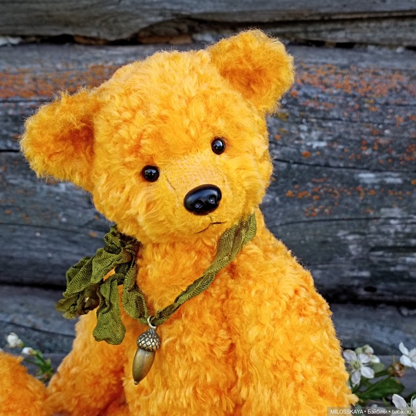 Мишка Гелиос или просто Гелька :) (фото 2)
