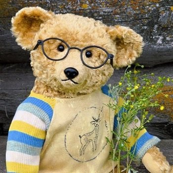 Старенький мишка Фотий