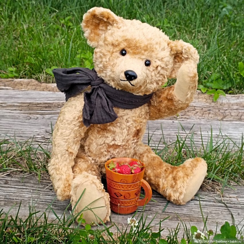 День земляники — Авторские мишки Тедди и друзья: фото (фото 5)