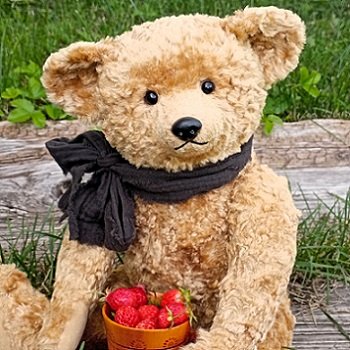 День земляники