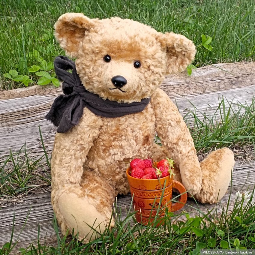 Коржик — Авторские мишки Тедди и друзья: фото