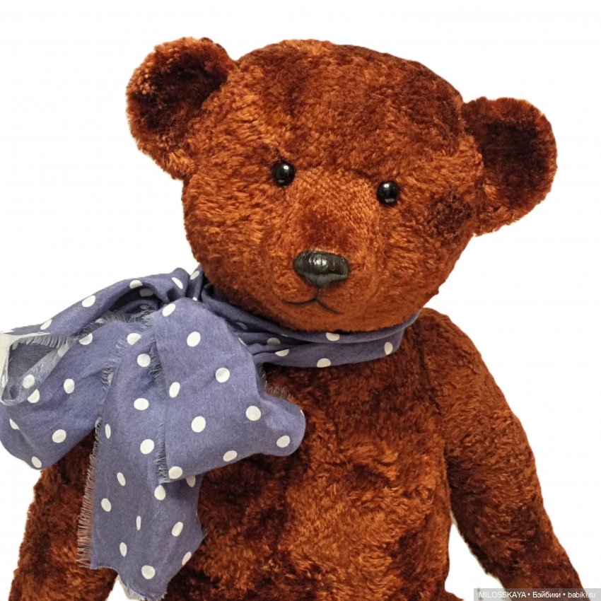 Напиши свою историю дружбы (фото 2)