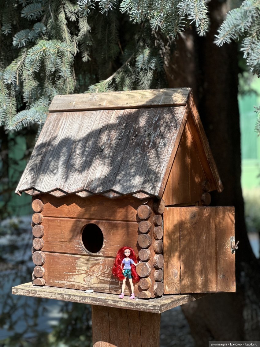 В парке Швейцария — Куклы Disney Animators и Принцессы Диснея: Disney Store (фото 4)