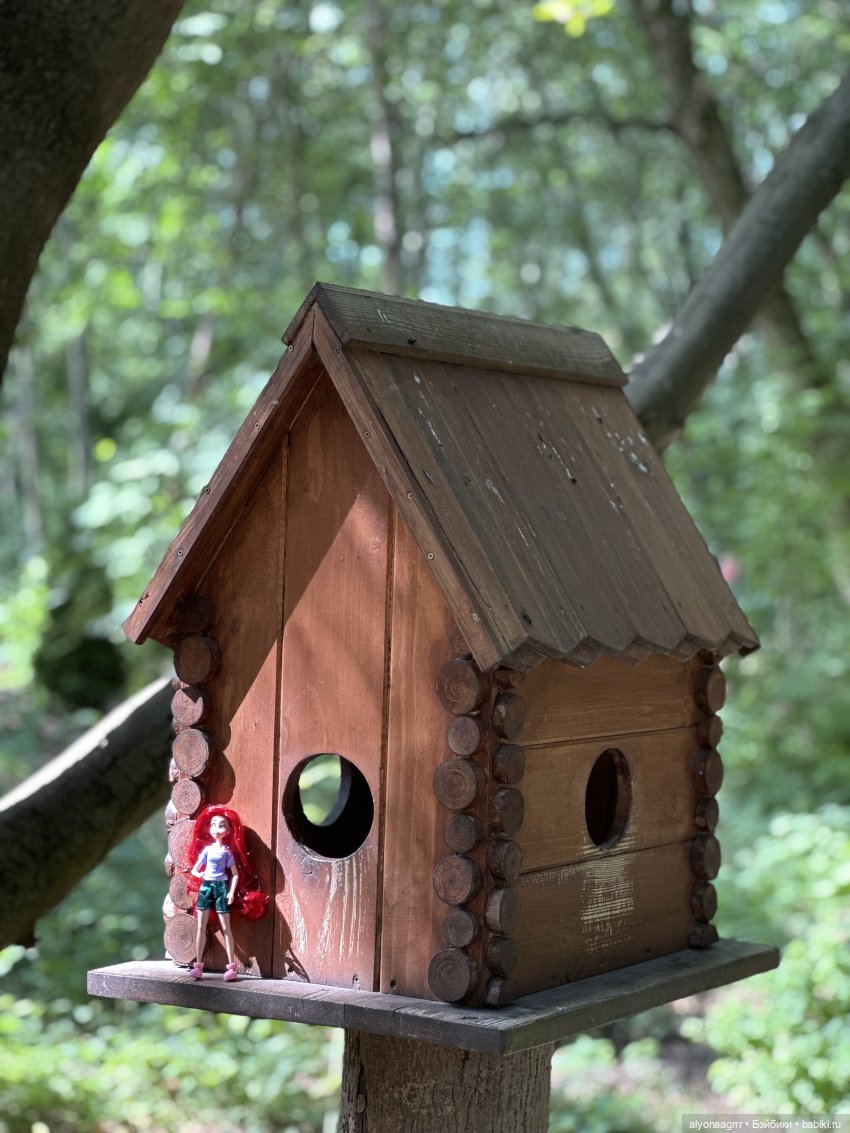 В парке Швейцария — Куклы Disney Animators и Принцессы Диснея: Disney Store (фото 9)
