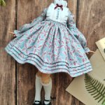Одежда для кукол 1/6 (Blythe, Pullip, Landoudou, Monsterhigh, Poppy Parker) - платье