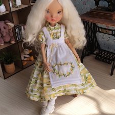 Одежда для кукол 1/6 (Blythe, Pullip, Landoudou, Monsterhigh, Poppy Parker) - комплект 46