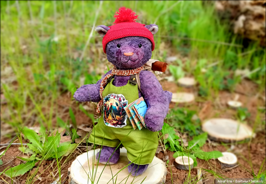 А куда путешествуют Ваши куклы и игрушки (фото 2)