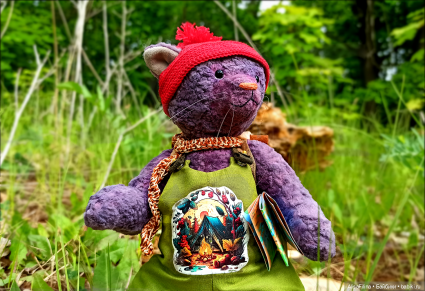 А куда путешествуют Ваши куклы и игрушки