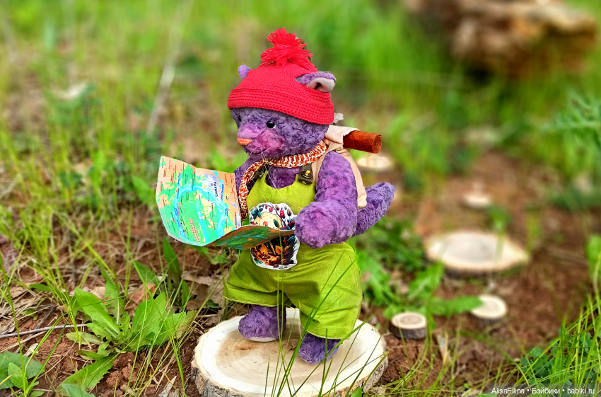 А куда путешествуют Ваши куклы и игрушки (фото 3)