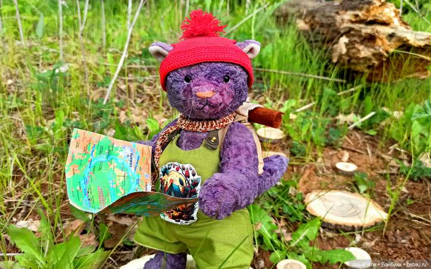 А куда путешествуют Ваши куклы и игрушки (фото 4)