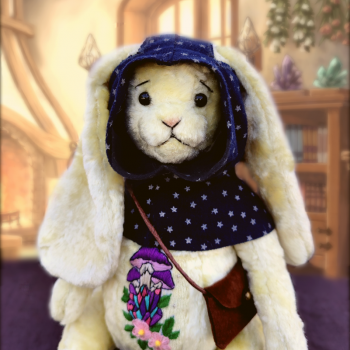 Тедди Заяц Чароит