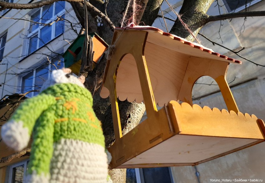 Большая прогулка небольшого таракана (фото 10)