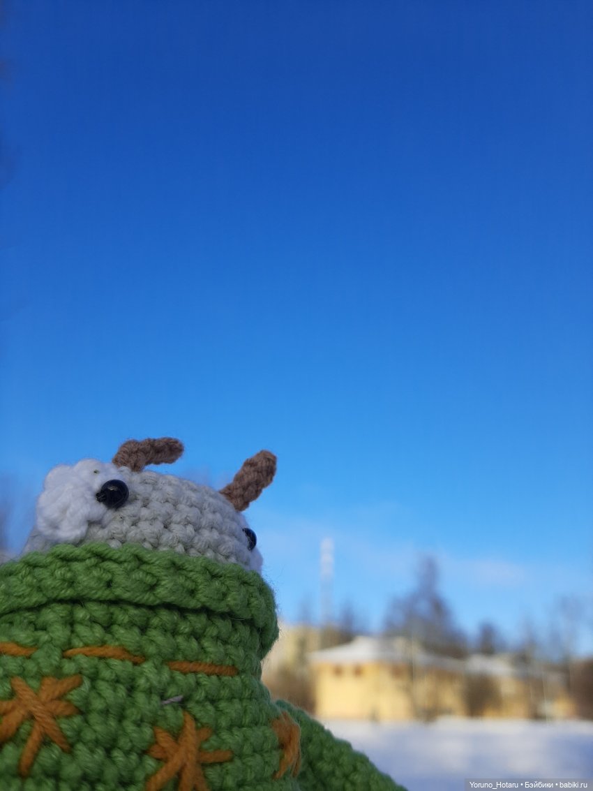 Большая прогулка небольшого таракана (фото 4)