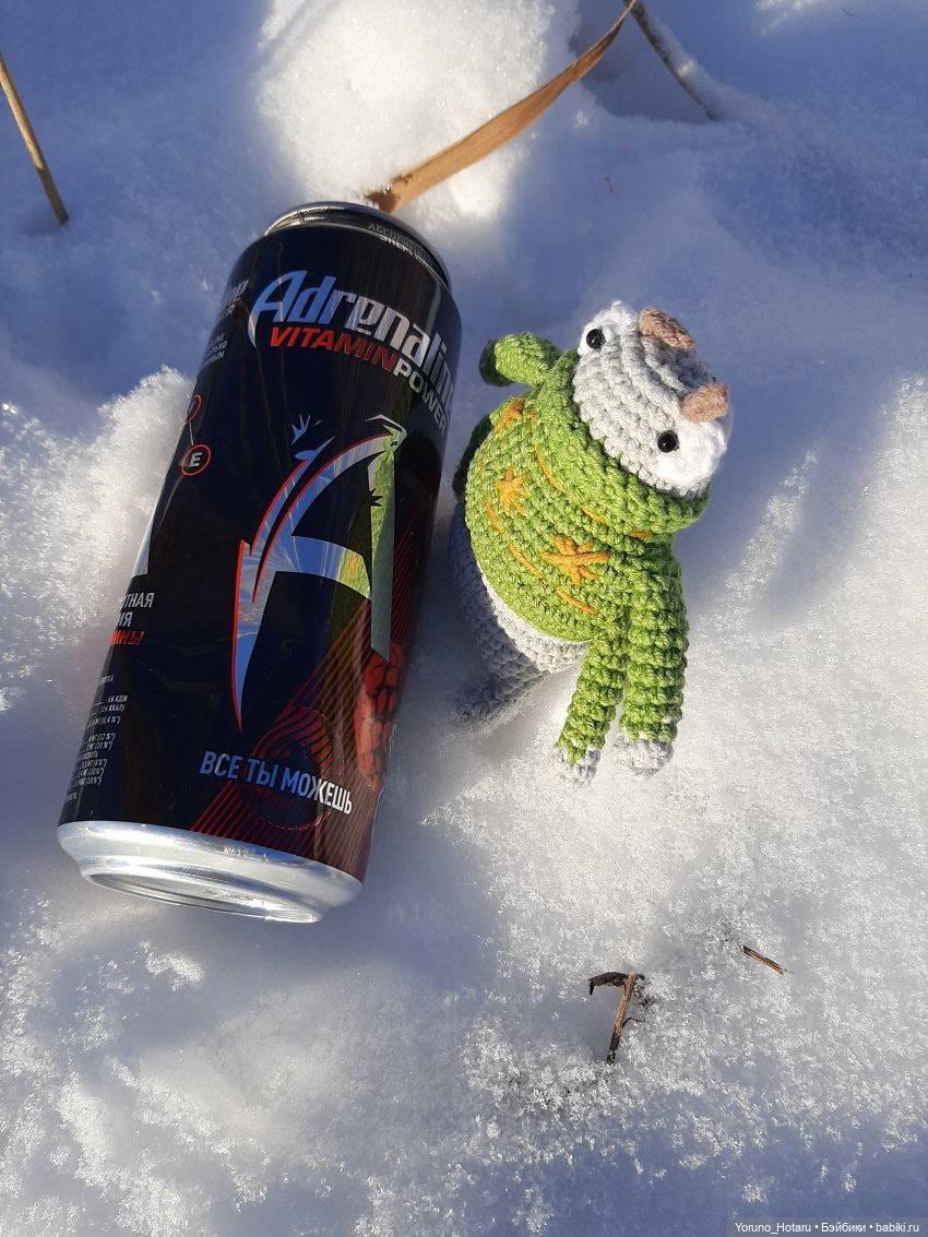 Большая прогулка небольшого таракана (фото 7)