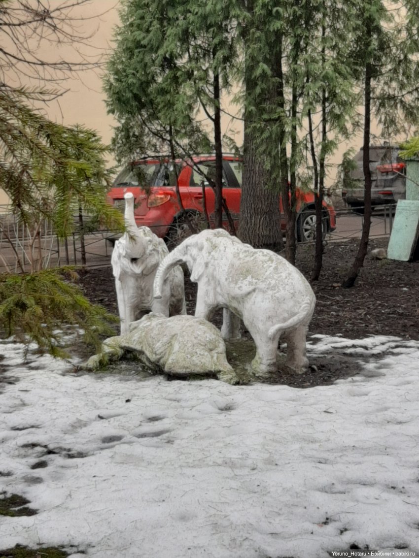 Нарвская - район контрастов | Бэйбики Нарвская - район контрастов (фото 8)