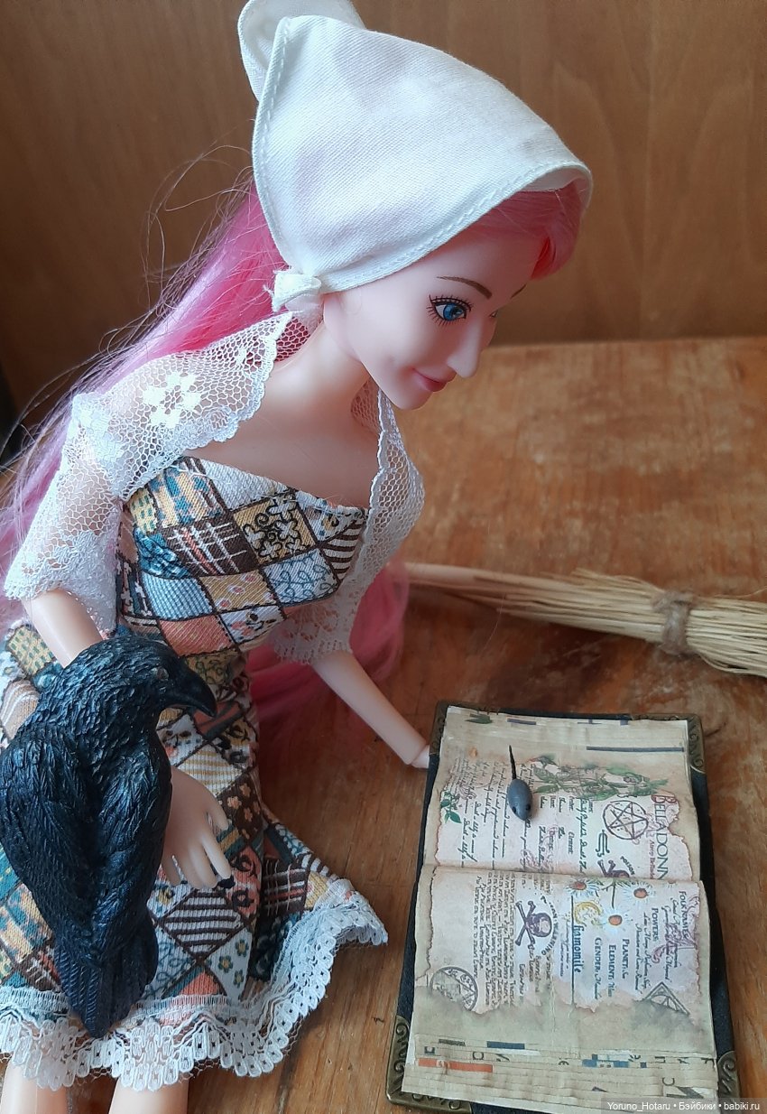 Книга - лучший подарок — Аналоги Барби и куклы 1/6: клоны 90 (фото 6)