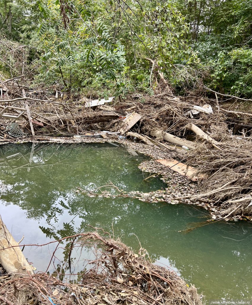 Орехово-медовая Даша — Куклы Paola Reina (Паола Рейна): новинки (фото 2)