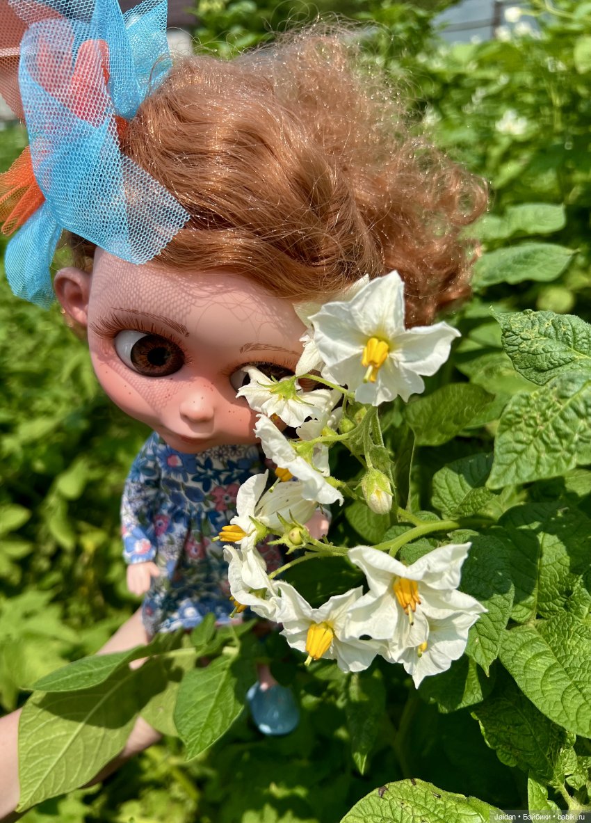 Элви БигАйз — Куклы Berjuan (Бержуан): Биггерсы (Biggers) (фото 9)