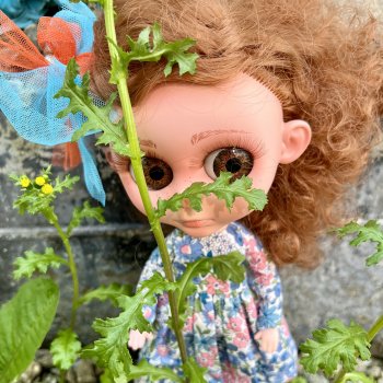 Элви БигАйз