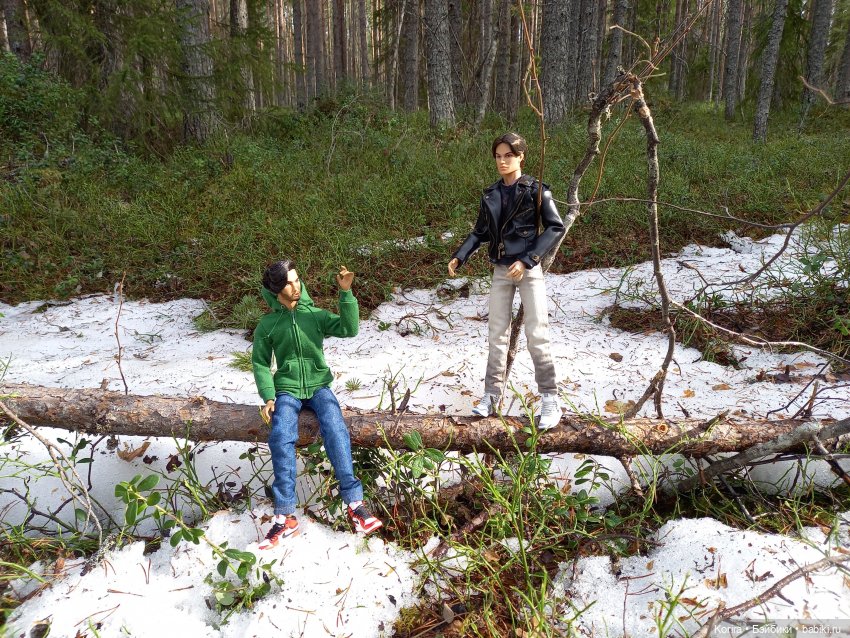 В поисках снега — Куклы Integrity Toys (Интегрити): Poppy Parker (фото 4)