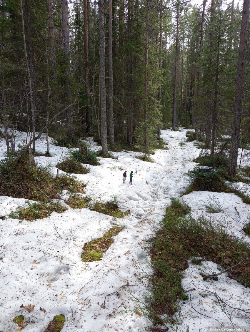 В поисках снега — Куклы Integrity Toys (Интегрити): Poppy Parker (фото 2)