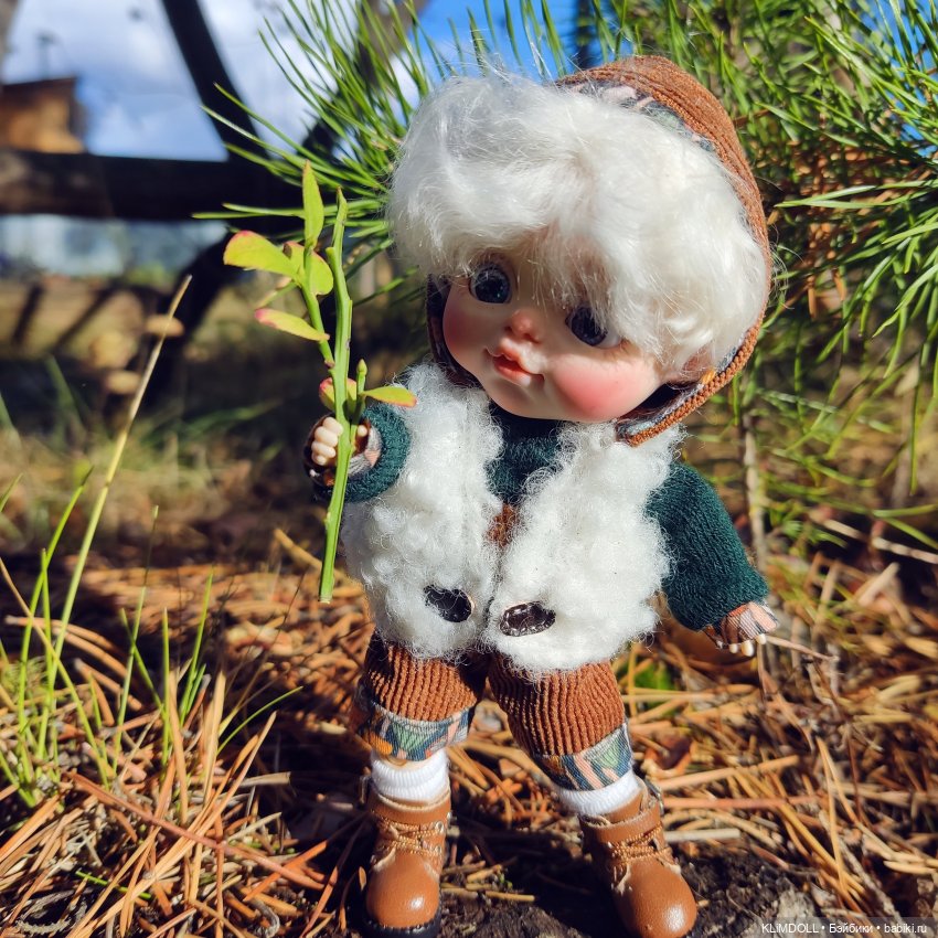 Есть ли в лесу овечки — Куклы и тела Obitsu 11 (Ob11): гибриды (фото 5)