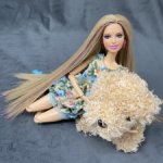 Барби на шарнирном теле