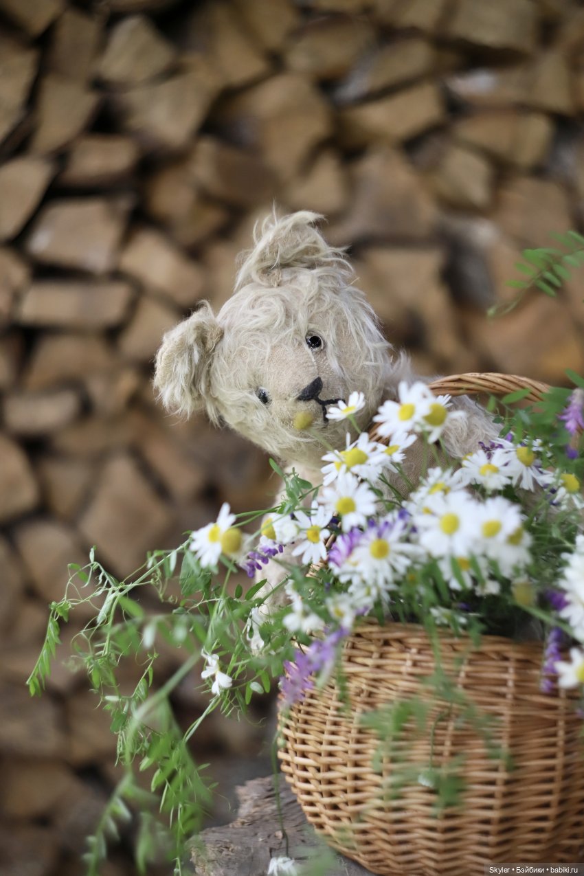 Ну-с, начнём, или Рассказ в деталях. Часть первая