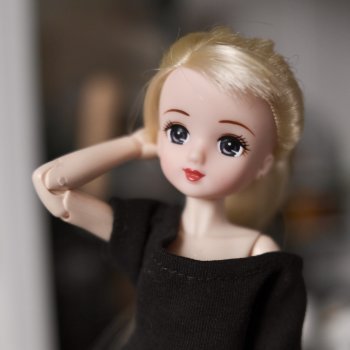 Приключения Риоки