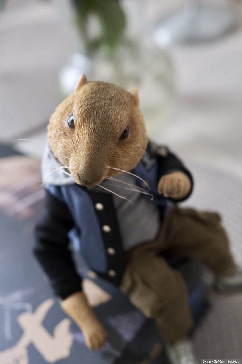 К нам приехал, к нам приехал.. Потт любимый-дорогой (фото 10)