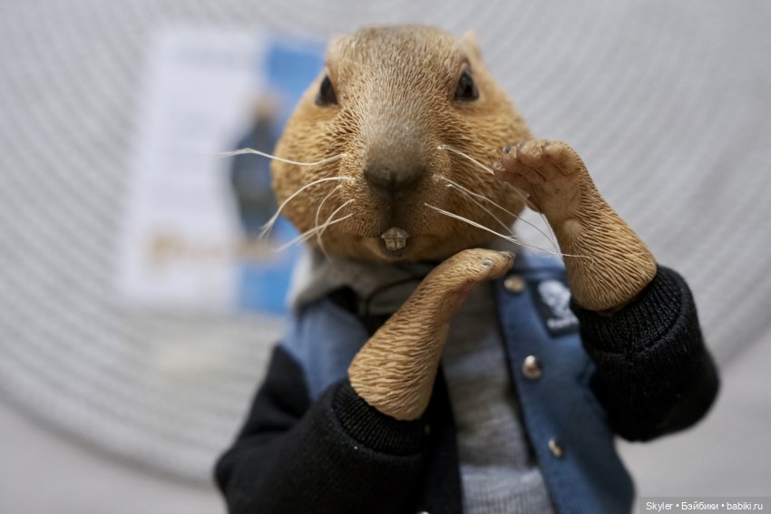 К нам приехал, к нам приехал.. Потт любимый-дорогой (фото 9)