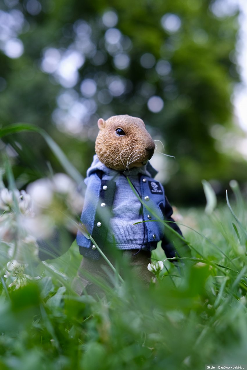 К нам приехал, к нам приехал.. Потт любимый-дорогой