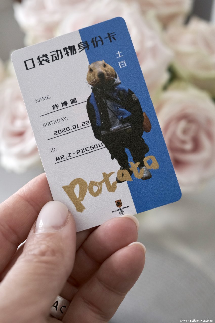 К нам приехал, к нам приехал.. Потт любимый-дорогой (фото 5)