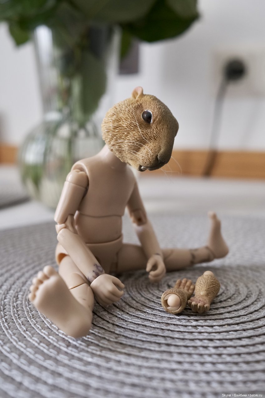 К нам приехал, к нам приехал.. Потт любимый-дорогой