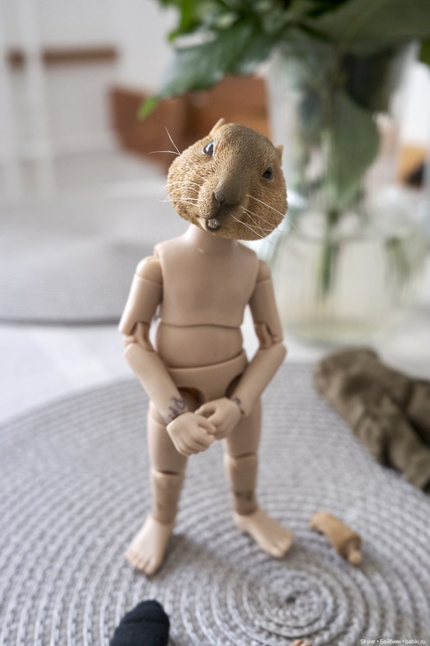 К нам приехал, к нам приехал.. Потт любимый-дорогой