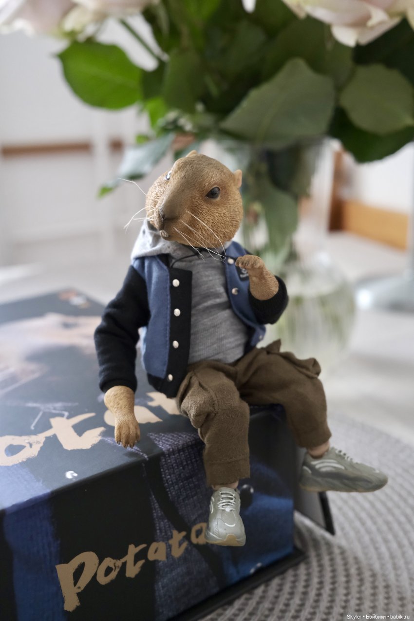 К нам приехал, к нам приехал.. Потт любимый-дорогой (фото 8)