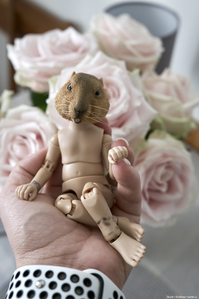 К нам приехал, к нам приехал.. Потт любимый-дорогой