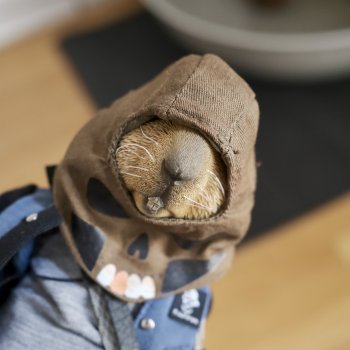 К нам приехал, к нам приехал.. Потт любимый-дорогой!.