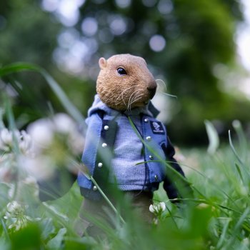 Небольшая вечерняя прогулка с сусликом Поттом☺️