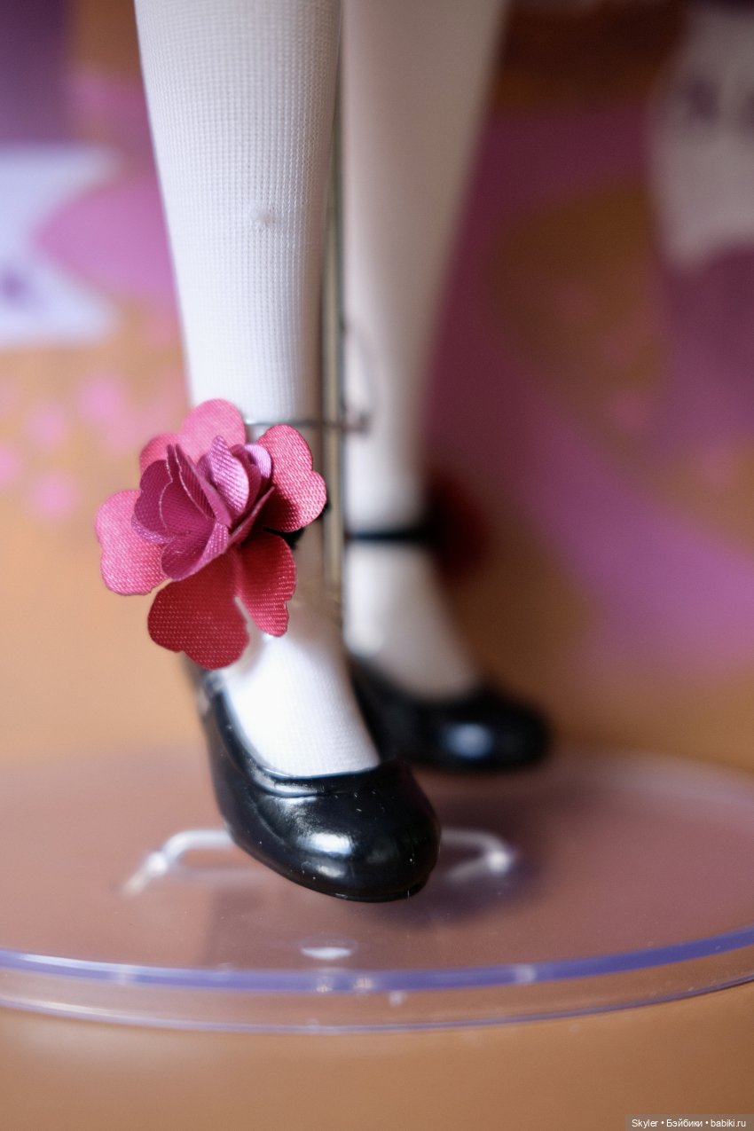 Всё чудесатее и чудесатее, или Как я вдруг стала коробочницей