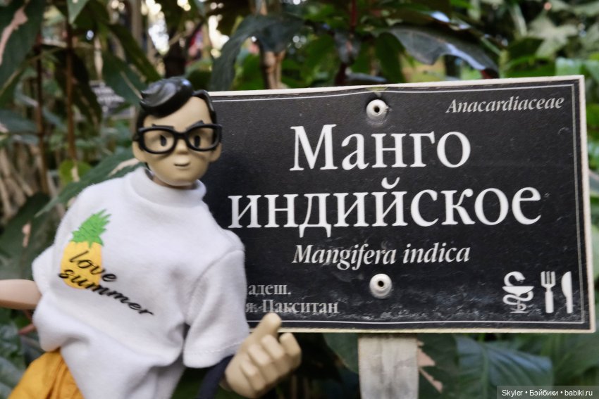 • Маленькая прогулка Манго •