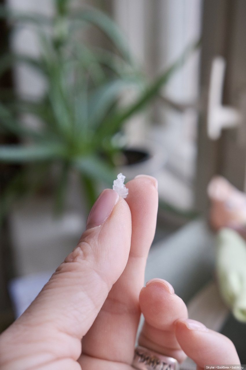 Полиморфус! По следам предыдущего топика