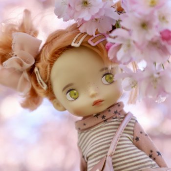 Элли и сакура..🌸