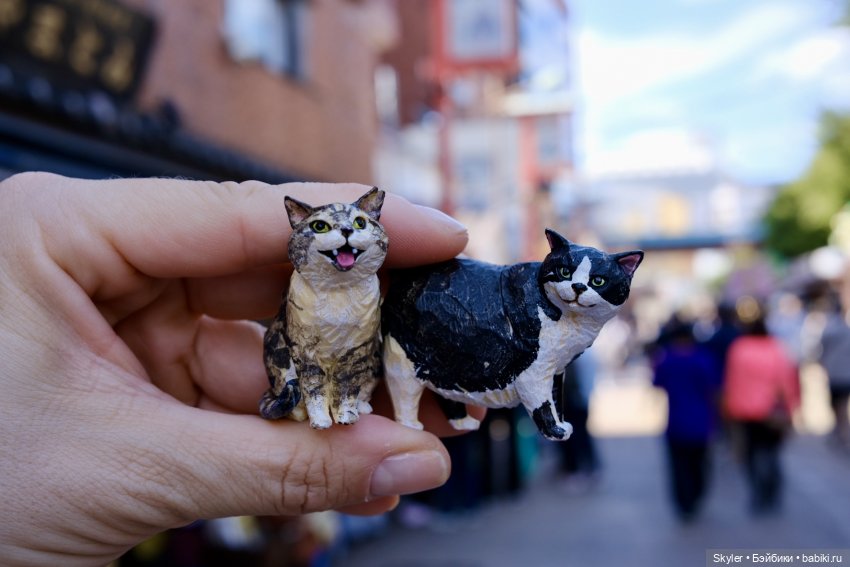 Итоги 2025 — Болталка и разговоры обо всем: жизнь